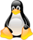 Linux Mini Hosting